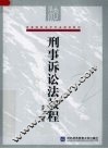 刑事诉讼法教程