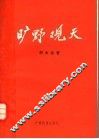 旷野观天  建设有中国特色的社会主义的探索与思考