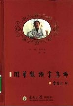 周华龙推拿集锦【周华龙主编】-PDF电子版