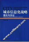 城市信息化战略理论与实证