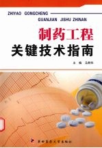 制药工程关键技术指南【乌君科主编】-PDF电子版