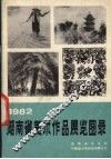 1982湖南省美术作品展览图录