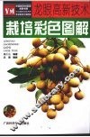 龙眼高新技术栽培彩色图解