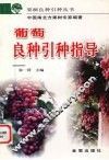 葡萄良种引种指导
