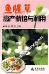 鱼腥草高产栽培与利用