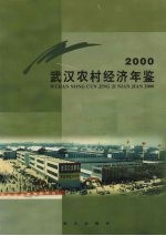 武汉农村经济年鉴 2000