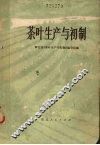 茶叶生产与初制