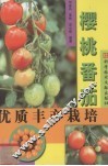 樱桃番茄优质丰产栽培