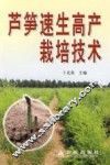 芦笋速生高产栽培技术