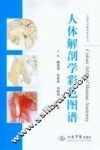 人体解剖学彩色图谱