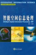 智能空间信息处理【秦昆编著】-PDF电子版