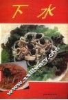 下水