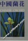 中国兰花  图集  1