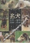 名犬  玩赏  饲养  鉴别  防病