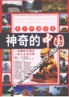 青少年读历史  神奇的中国
