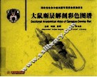大鼠断层解剖彩色图谱