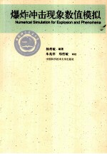 爆炸冲击现象数值模拟【杨秀敏编著】-PDF电子版