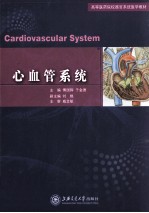 心血管系统【傅国辉，于金德主编；刘艳副主编；戚文航主审】-PDF电子版