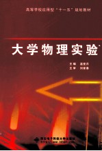 大学物理实验【温亚芹主编】-PDF电子版