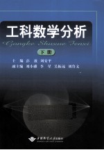 工科数学分析  下【彭放，刘安平主编】-PDF电子版