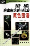 柑橘病虫害诊断与防治原色图谱