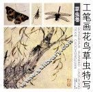 工笔画花鸟草虫特写  草虫卷