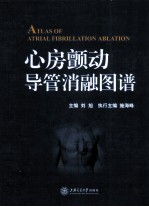 心房颤动导管消融图谱【刘旭主编】-PDF电子版