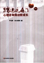 踏进这扇门  心理咨询师初阶成长【严文华著】-PDF电子版