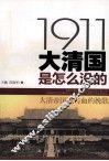 1991大清国是在没的