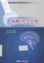 人体解剖学实验【王俊波主编；袁张根副主编】-PDF电子版