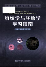 组织学与胚胎学学习指南【陈晓蓉，徐晨主编】-PDF电子版