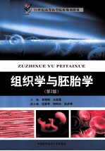 组织学与胚胎学  第2版【金晓梅，汤美蓉主编】-PDF电子版
