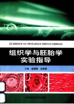 组织学与胚胎学实验指导【金晓梅，汤美蓉主编】-PDF电子版