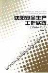 沈阳安全生产工作实践  2006-2010