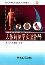人体解剖学实验指导【姚玉芹，王龙海主编】-PDF电子版