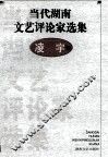 当代湖南文艺评论家选集  凌宇卷