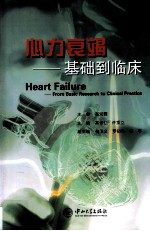 心力衰竭  基础到临床【高修仁，许顶立主编；梅卫义，罗初凡，曾平副主编】-PDF电子版