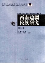 西南边疆民族研究  第10辑【何明主编】-PDF电子版