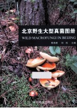 北京野生大型真菌图册 pdf电子版-县志馆-第3张图片