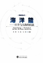海洋能  日月与大海的结晶【肖钢；马强；马丽】-PDF电子版
