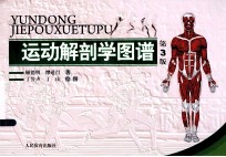 运动解剖学图谱  第3版【顾德明，缪进昌编著；丁誉声等绘图】-PDF电子版
