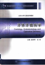牙体牙髓病学【高学军，岳林主编】-PDF电子版