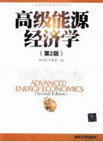高级能源经济学【林伯强，牟敦果主编】-PDF电子版