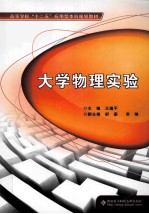 大学物理实验【王瑞平主编；舒秦，常琳副主编】-PDF电子版