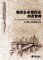集团企业集约化经营管理【张旭梅，王兴山，邱晗光等著】-PDF电子版