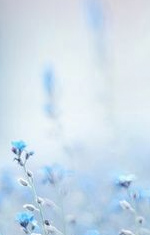 《犯罪心理研究》txtpdf电子书籍百度网盘下载网站