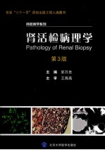 肾脏病学系列  肾活检病理学  第3版【邹万忠主编；王海燕主审；董葆，鄂洁，刘刚等编写】-PDF电子版