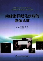 动脉粥样硬化疾病的影像诊断【陈步星，洪楠，高培毅等主编；胡大一主审；陈步星，陈雷，段凤霞等编】-PDF电子版