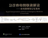 急诊心电图快速解读  心电图视觉记忆指南【（美）马丁代尔，（美）布朗原著；吴立群译】-PDF电子版