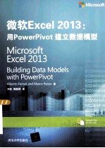 微软Excel 2013  用PowerPivot建立数据模型【（意）法拉利，（意）鲁索著】-PDF电子版